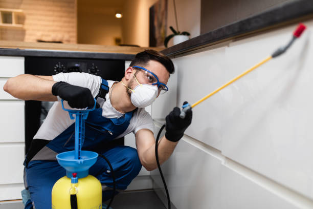 Pest Prevention Services in Burtonsville, MD