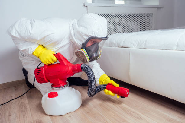 Best Mosquito Control Services  in Burtonsville, MD