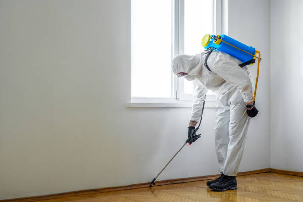 Best Affordable Pest Control Services  in Burtonsville, MD