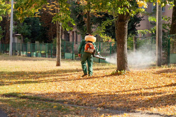 Best Rodent Control Near Me  in Burtonsville, MD