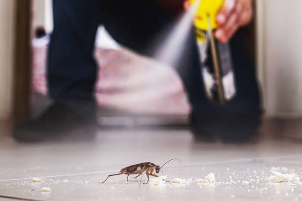 Best Best Pest Control Companies  in Burtonsville, MD