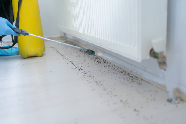 Best Pest Prevention Services  in Burtonsville, MD